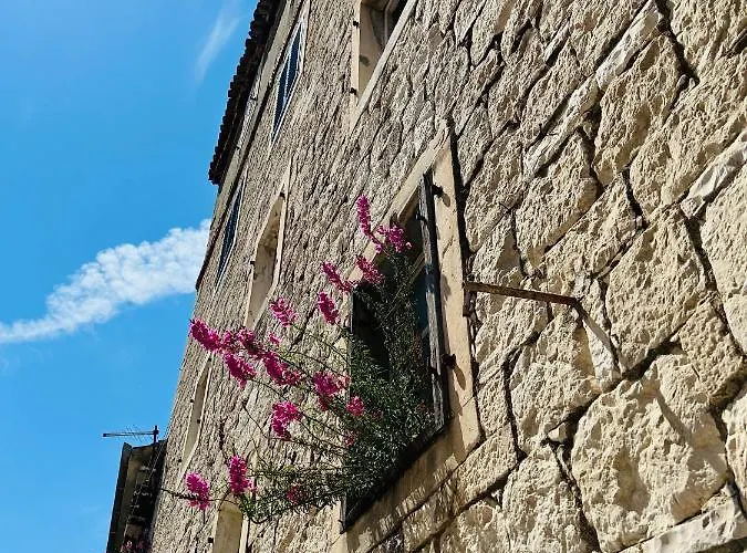 Arapova 스플리트